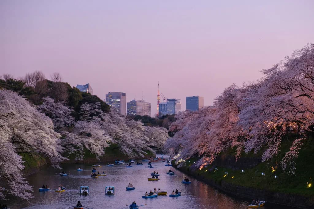 Japan background