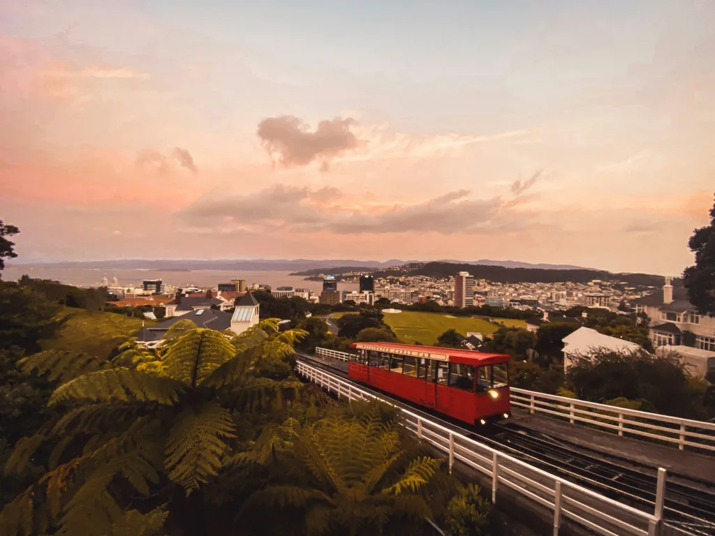 New Zealand background
