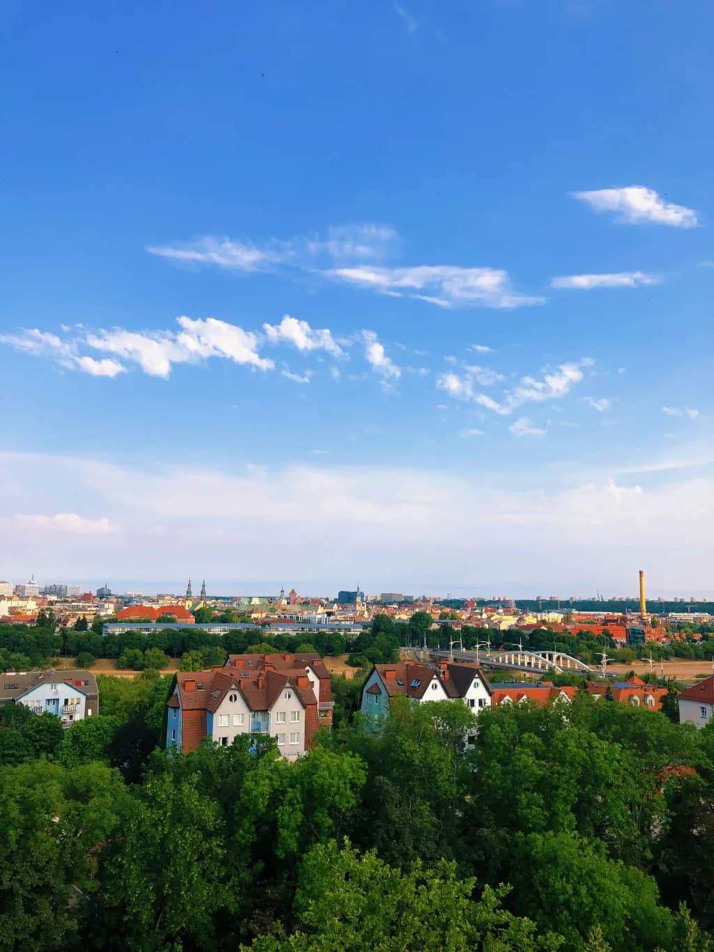 Polşa background