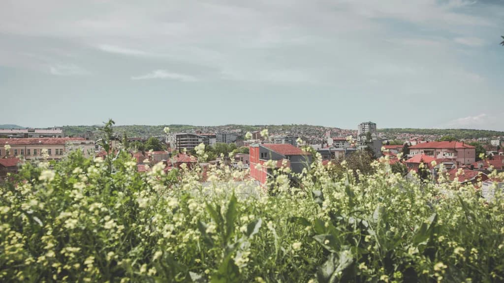 Serbia background