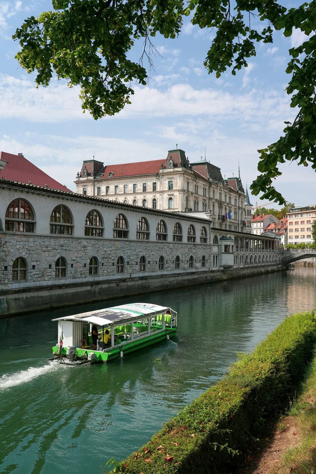 Slovenia background