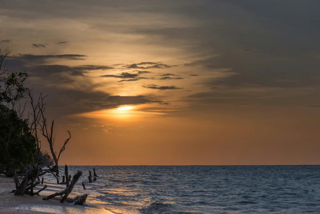 Suriname background