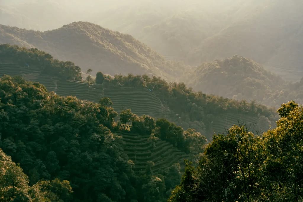 中国 background